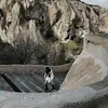 EvelynAsh - @evelynash_0 - TikTok