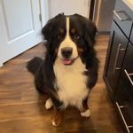 Evelyn Barton - @gitanuxh - Instagram