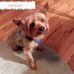 Evelyn Harrison Barton - Facebook