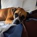 Evelyn Baughman - Facebook
