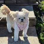 Evie Bechtel - Facebook