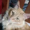 Evelyn Becker - @evelyn.becker02 - TikTok