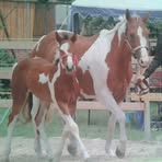Evelyn Becker - Facebook