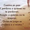 evelynberman426 - @evelynberman426 - TikTok