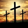 Evelyn Hutchins - @evelyns.biblestudy - TikTok