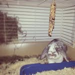 Evelyn Blanton - @mohawkheadglory - Instagram