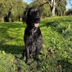 Evelyn Blaser-Hollenbach - @blaserhollenbach - Instagram