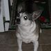 Evelyn Fehr Bledsoe - Facebook