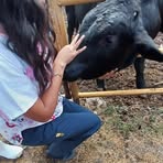 Evelyn Botello - Facebook