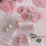 Evelyn.box - @evelyn.booox - Instagram