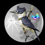 Victor and Evelyn Breault - @evolutionary.vibrations - Instagram