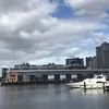 evelyncalvert3 - @evelyncalvert - TikTok