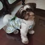 Evelyn Canlas - @evelyn.canlas.33 - Instagram
