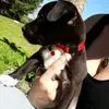 evelyncorbetti - @evelyncorbetti - TikTok