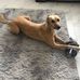 Evelyn Cunningham - Facebook