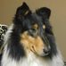 Evelyn Cunningham - Facebook