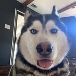Kate Dotson - @_evelyndotson_ - Instagram