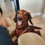 Evelyn Dowdle - @dowdleevelyn - Instagram
