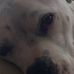 Evelyn Lytle Downing - Facebook