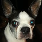 Evelyn Eakins - Facebook