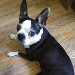 Evelyn Eakins - Facebook