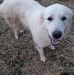 Evelyn Easterling - Facebook