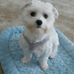 Evelyn Easterling Barber - Facebook