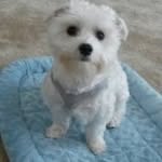 Evelyn Easterling Barber - @evelynbarber0510 - Instagram