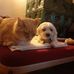 Evelyn Eder - Facebook