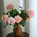 Evelyne Dge - Facebook