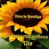 Sunflower - @evelyn.edwards5 - TikTok