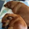 evelynehrlich0 - @evelynehrlich0 - TikTok