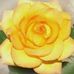 Evelyn Eubanks - Facebook