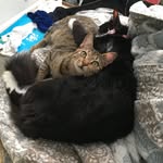 Eugene And Evelyn - @eugene_and_evelyn - Instagram