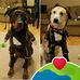 Evelyn Faison - Facebook