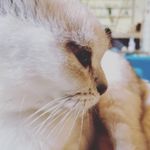 Evelyn Field - @evelynf_hjt - Instagram