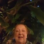 Evelyn Gee - @evelyn.gee.758 - Instagram