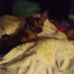 Evelyn Gentry - Facebook