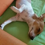 Evelyn Elisa - @giunta.evelyn.elisa - Instagram