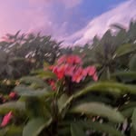 Evelyn gorham - @evelyn.g63739 - Instagram