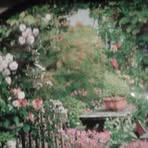 Evelyn Gower - Facebook