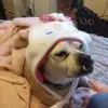 Eve Grinstead - @eve.grinstead3 - TikTok