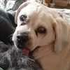 Eve Grinstead - @eve.grinstead - TikTok