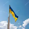 evelyn_hackett44 - @evelyn_hackett44 - TikTok