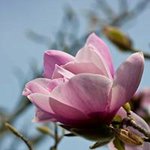 Evelyn Hare - @hareevelyn - Instagram