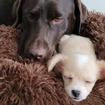 Evelyn Haug - Facebook