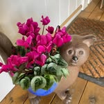 Evelyn Haugland - @evelyn.haugland - Instagram