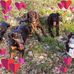 Evelyn Held - Facebook