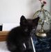 Evelyn Held - Facebook