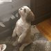 Evelyn Hess - Facebook